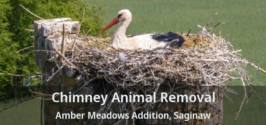 Chimney Animal Removal Amber Meadows Addition, Saginaw - TX Chimney Animal Removal Amber Meadows Addition, Saginaw - TX