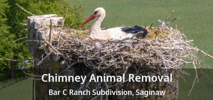 Chimney Animal Removal Bar C Ranch Subdivision, Saginaw - TX Chimney Animal Removal Bar C Ranch Subdivision, Saginaw - TX