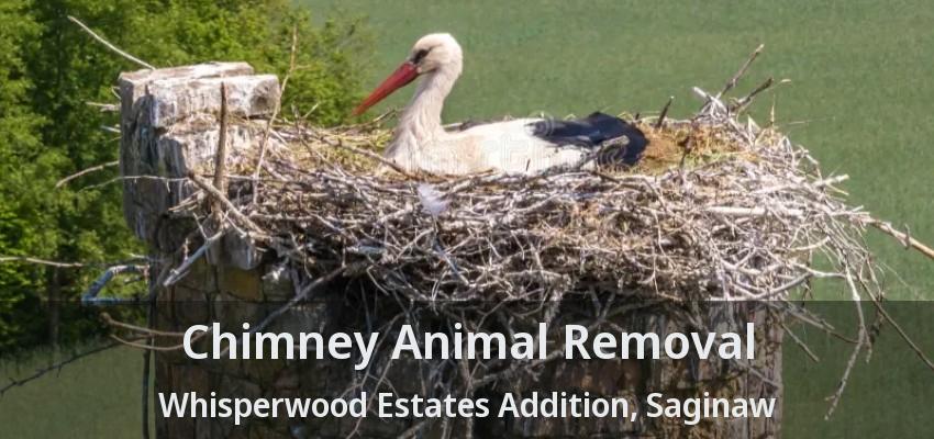Chimney Animal Removal Whisperwood Estates Addition, Saginaw - TX Chimney Animal Removal Whisperwood Estates Addition, Saginaw - TX