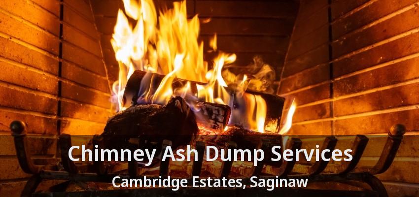 Chimney Ash Dump Services Cambridge Estates, Saginaw - TX