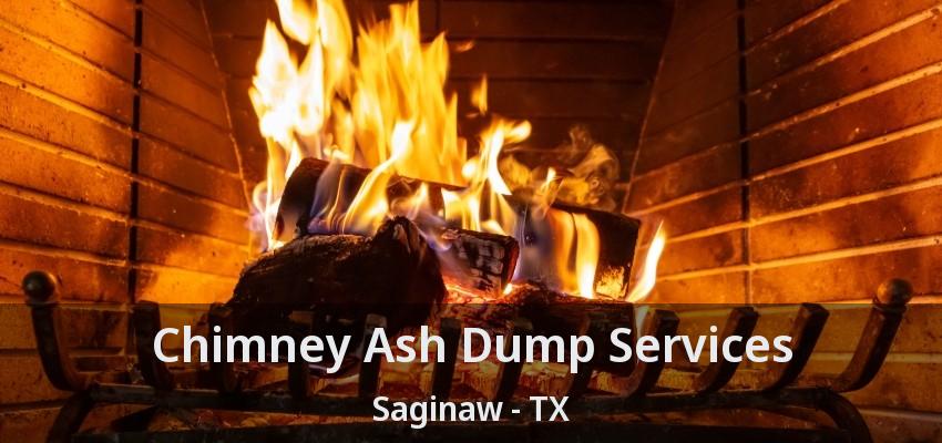 Chimney Ash Dump Services Saginaw - TX
