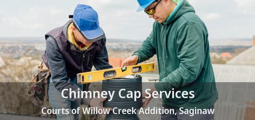 Chimney Cap Services Courts of Willow Creek Addition, Saginaw - TX