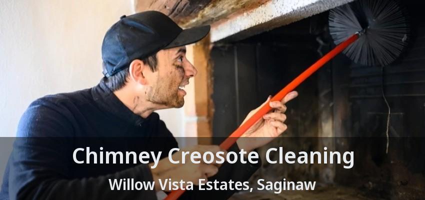 Chimney Creosote Cleaning Willow Vista Estates, Saginaw - TX