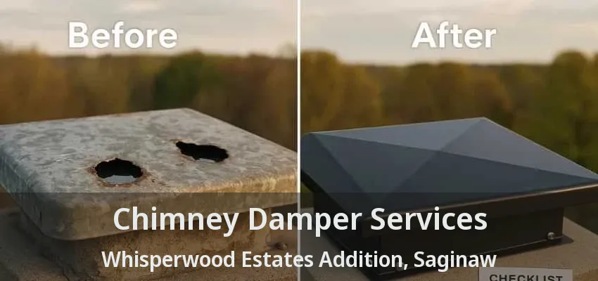 Chimney Damper Services Whisperwood Estates Addition, Saginaw - TX