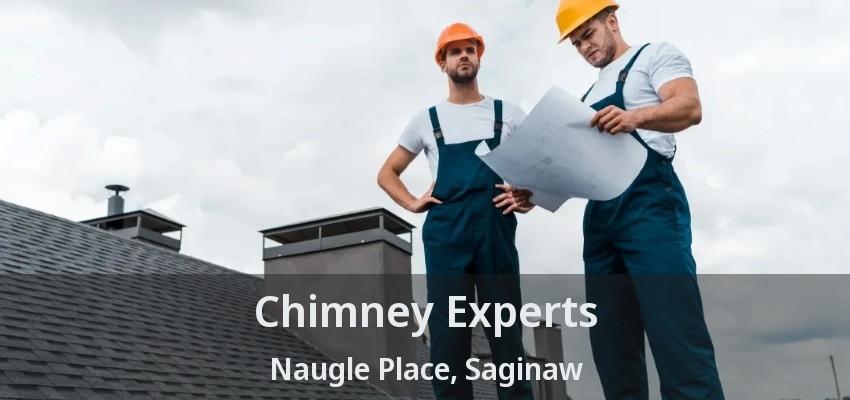 Chimney Experts Naugle Place, Saginaw - TX