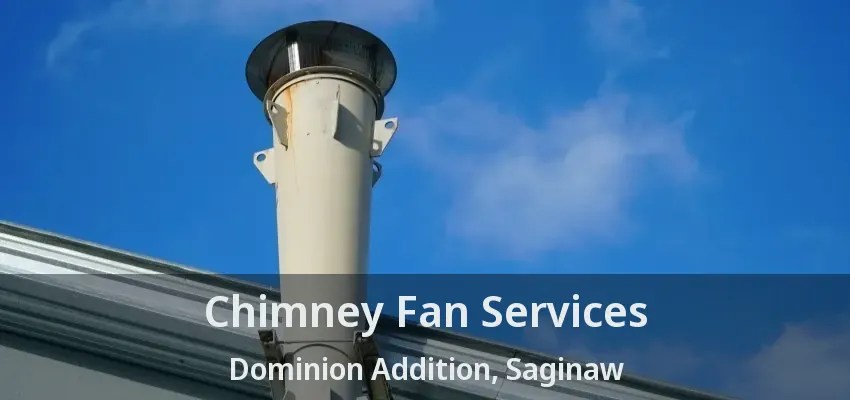 Chimney Fan Services Dominion Addition, Saginaw - TX