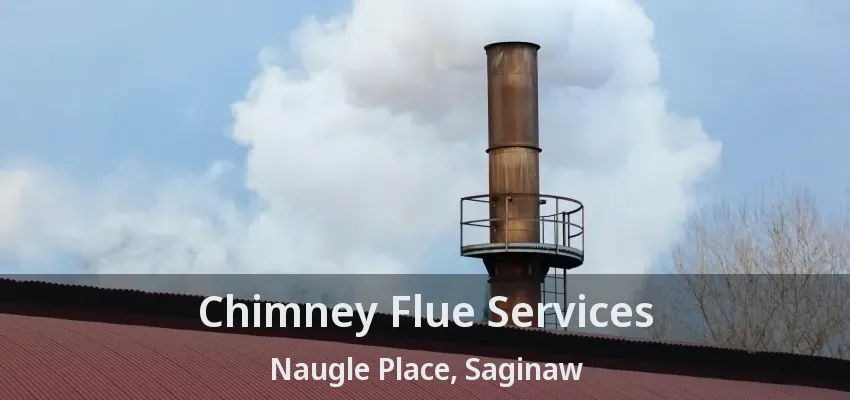 Chimney Flue Services Naugle Place, Saginaw - TX Chimney Flue Services Naugle Place, Saginaw - TX