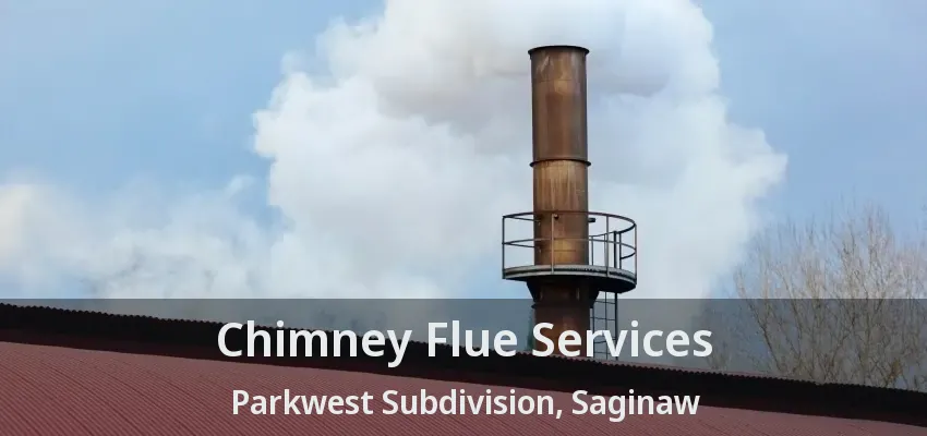 Chimney Flue Services Parkwest Subdivision, Saginaw - TX Chimney Flue Services Parkwest Subdivision, Saginaw - TX