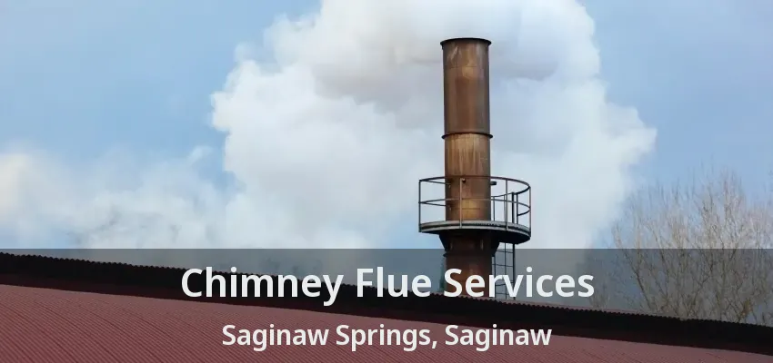 Chimney Flue Services Saginaw Springs, Saginaw - TX Chimney Flue Services Saginaw Springs, Saginaw - TX