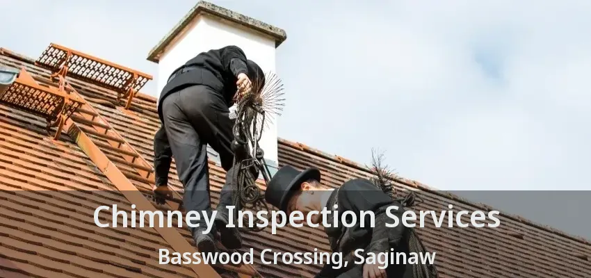 Chimney Inspection Services Basswood Crossing, Saginaw - TX