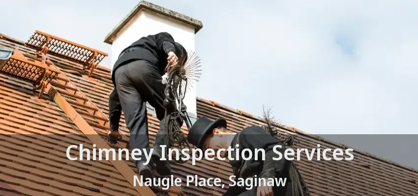Chimney Inspection Services Naugle Place, Saginaw - TX