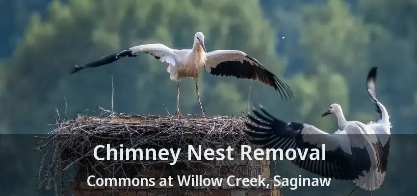 Chimney Nest Removal Commons at Willow Creek, Saginaw - TX