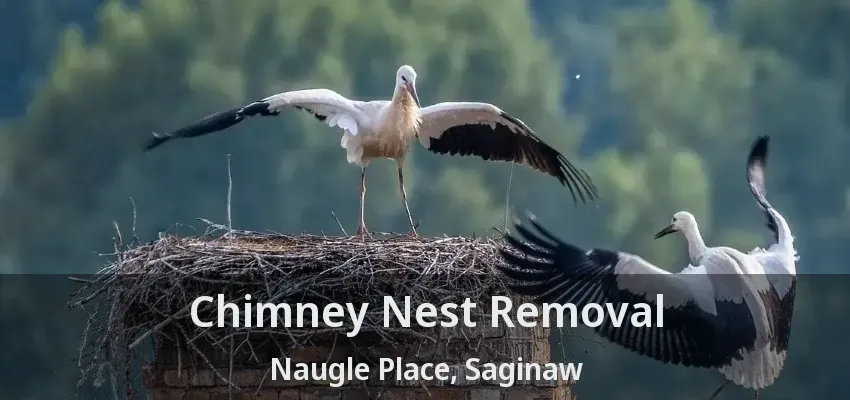 Chimney Nest Removal Naugle Place, Saginaw - TX