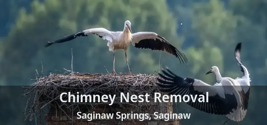 Chimney Nest Removal Saginaw Springs, Saginaw - TX Chimney Nest Removal Saginaw Springs, Saginaw - TX