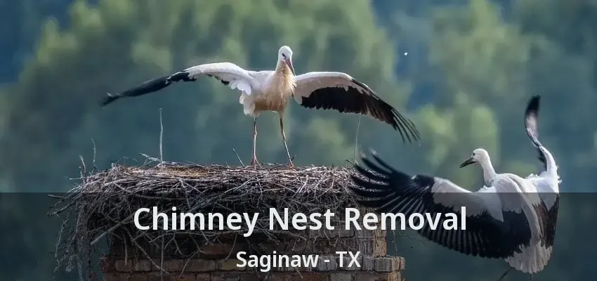 Chimney Nest Removal Saginaw - TX Chimney Nest Removal Saginaw - TX