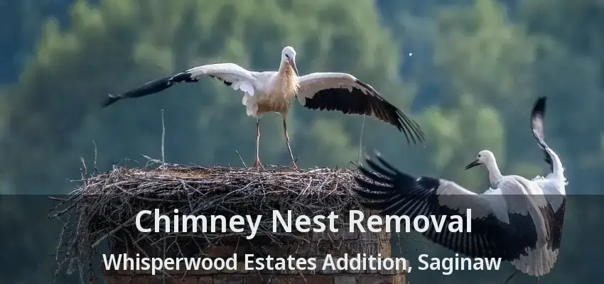 Chimney Nest Removal Whisperwood Estates Addition, Saginaw - TX Chimney Nest Removal Whisperwood Estates Addition, Saginaw - TX