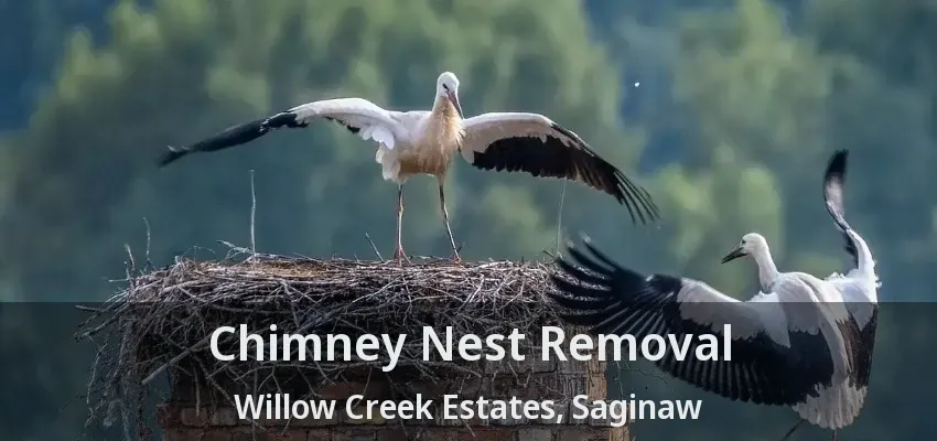 Chimney Nest Removal Willow Creek Estates, Saginaw - TX