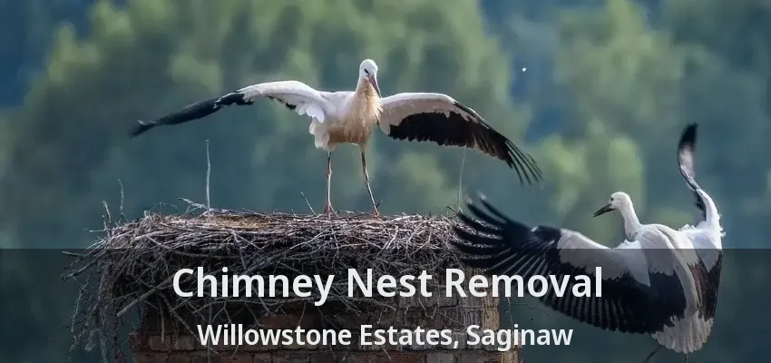 Chimney Nest Removal Willowstone Estates, Saginaw - TX