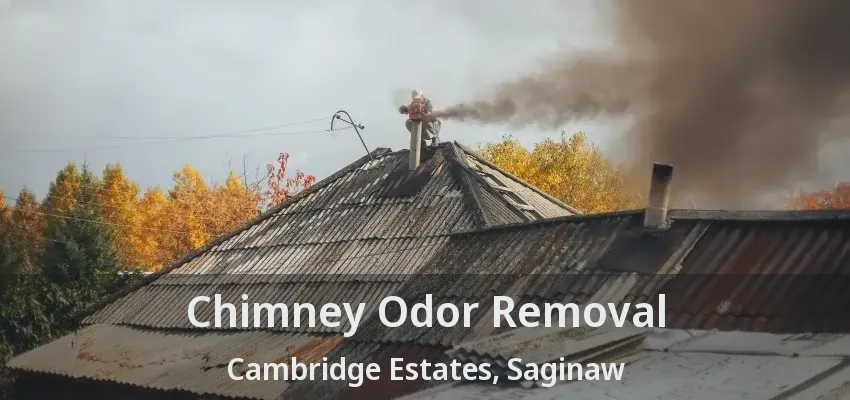 Chimney Odor Removal Cambridge Estates, Saginaw - TX Chimney Odor Removal Cambridge Estates, Saginaw - TX