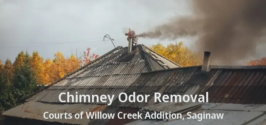 Chimney Odor Removal Courts of Willow Creek Addition, Saginaw - TX Chimney Odor Removal Courts of Willow Creek Addition, Saginaw - TX
