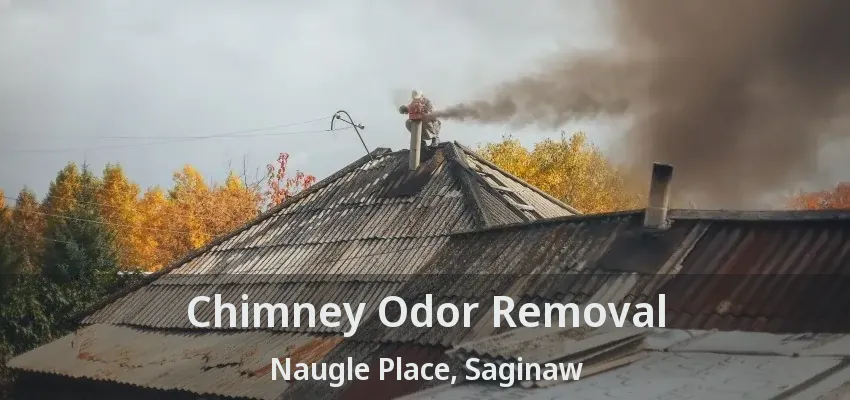 Chimney Odor Removal Naugle Place, Saginaw - TX Chimney Odor Removal Naugle Place, Saginaw - TX