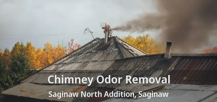 Chimney Odor Removal Saginaw North Addition, Saginaw - TX