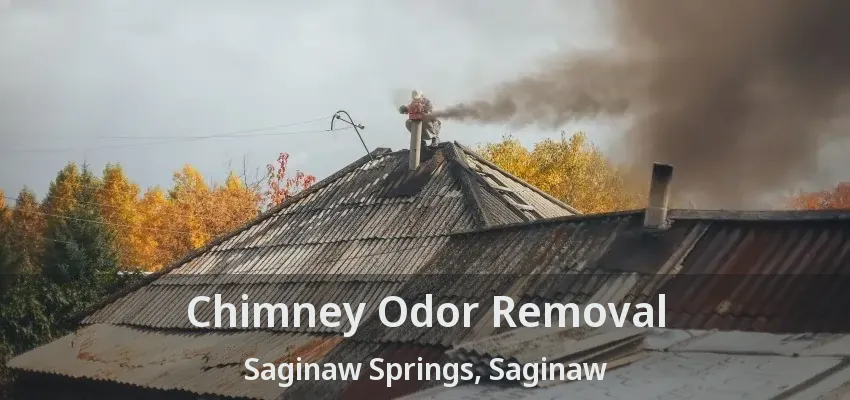 Chimney Odor Removal Saginaw Springs, Saginaw - TX Chimney Odor Removal Saginaw Springs, Saginaw - TX