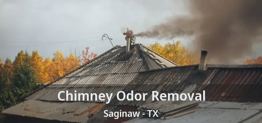 Chimney Odor Removal Saginaw - TX Chimney Odor Removal Saginaw - TX