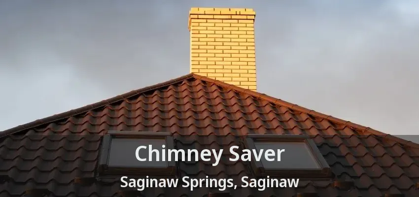 Chimney Saver Saginaw Springs, Saginaw - TX Chimney Saver Saginaw Springs, Saginaw - TX