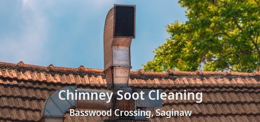 Chimney Soot Cleaning Basswood Crossing, Saginaw - TX