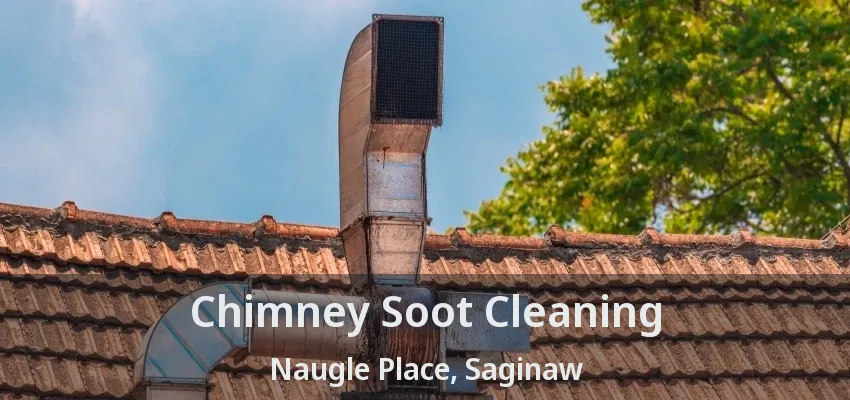 Chimney Soot Cleaning Naugle Place, Saginaw - TX Chimney Soot Cleaning Naugle Place, Saginaw - TX