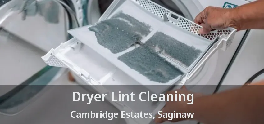 Dryer Lint Cleaning Cambridge Estates, Saginaw - TX Dryer Lint Cleaning Cambridge Estates, Saginaw - TX