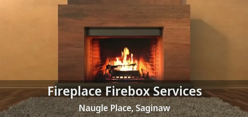 Fireplace Firebox Services Naugle Place, Saginaw - TX Fireplace Firebox Services Naugle Place, Saginaw - TX