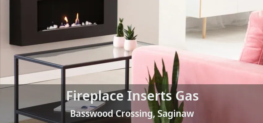 Fireplace Inserts Gas Basswood Crossing, Saginaw - TX Fireplace Inserts Gas Basswood Crossing, Saginaw - TX