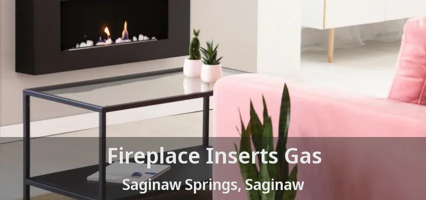 Fireplace Inserts Gas Saginaw Springs, Saginaw - TX Fireplace Inserts Gas Saginaw Springs, Saginaw - TX