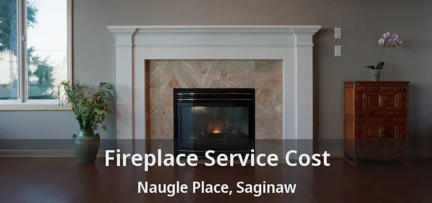 Fireplace Service Cost Naugle Place, Saginaw - TX