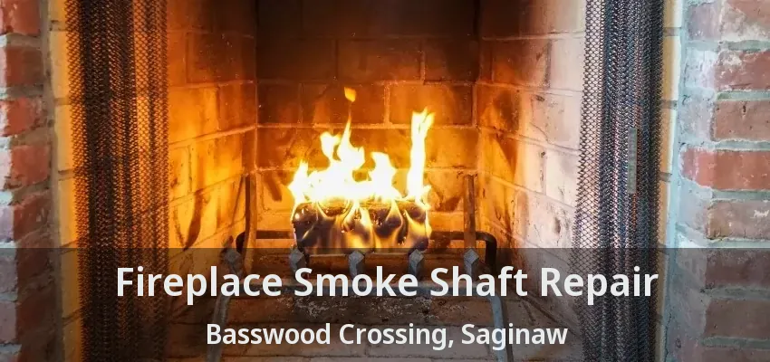 Fireplace Smoke Shaft Repair Basswood Crossing, Saginaw - TX