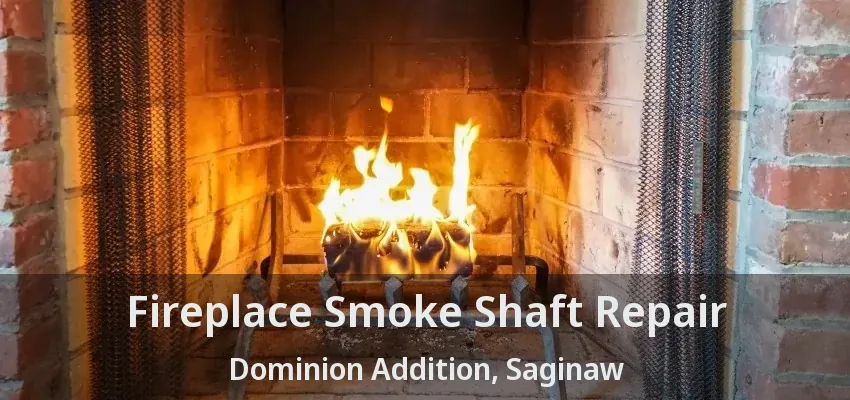 Fireplace Smoke Shaft Repair Dominion Addition, Saginaw - TX