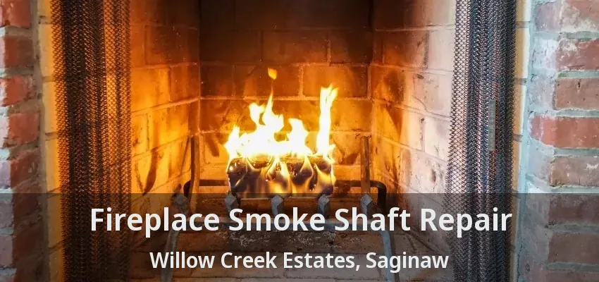 Fireplace Smoke Shaft Repair Willow Creek Estates, Saginaw - TX