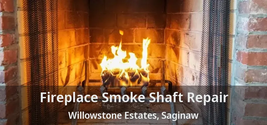 Fireplace Smoke Shaft Repair Willowstone Estates, Saginaw - TX