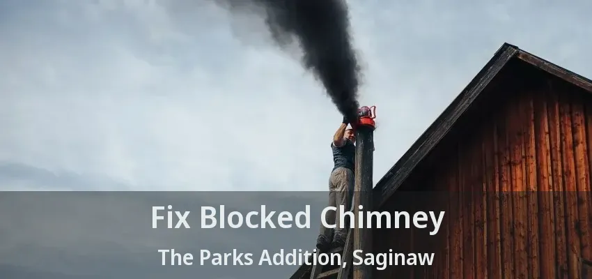 Fix Blocked Chimney The Parks Addition, Saginaw - TX