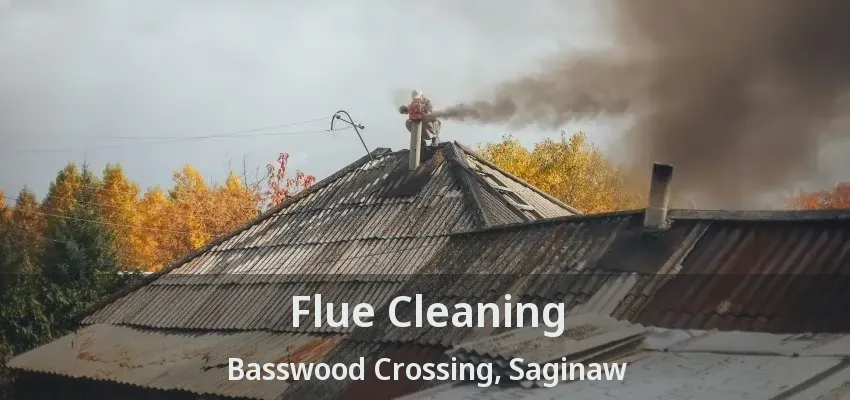 Flue Cleaning Basswood Crossing, Saginaw - TX