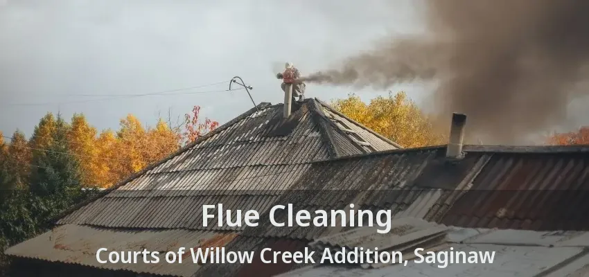 Flue Cleaning Courts of Willow Creek Addition, Saginaw - TX