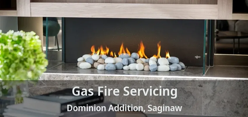 Gas Fire Servicing Dominion Addition, Saginaw - TX