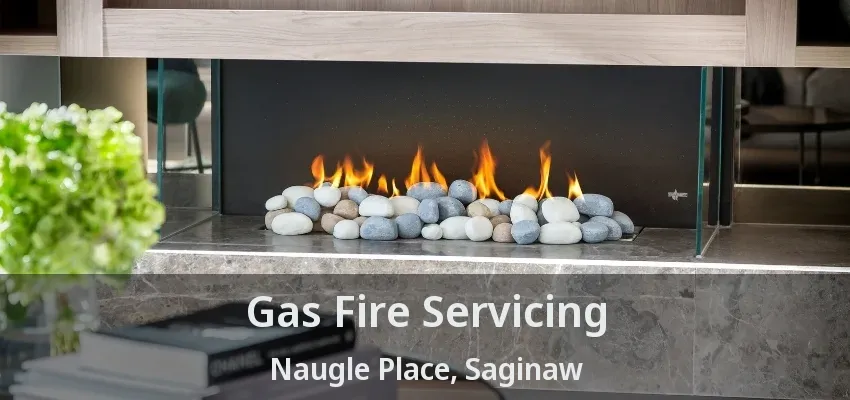 Gas Fire Servicing Naugle Place, Saginaw - TX