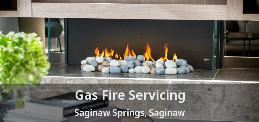 Gas Fire Servicing Saginaw Springs, Saginaw - TX Gas Fire Servicing Saginaw Springs, Saginaw - TX