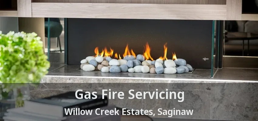 Gas Fire Servicing Willow Creek Estates, Saginaw - TX
