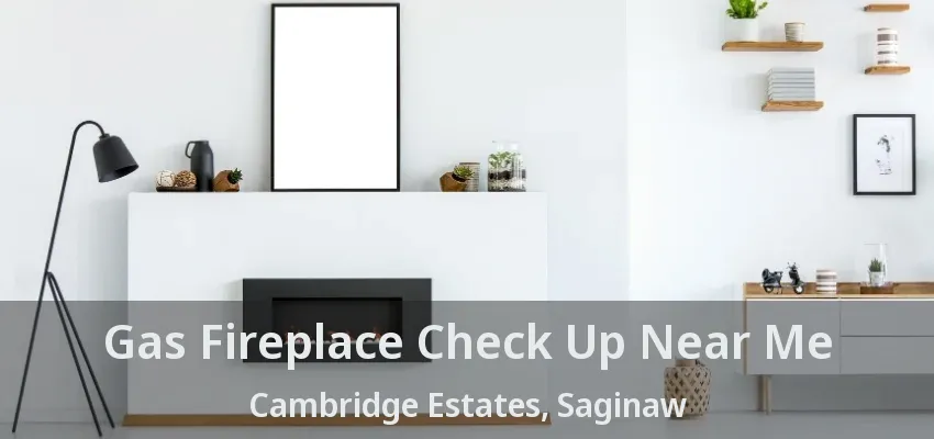 Gas Fireplace Check Up Near Me Cambridge Estates, Saginaw - TX