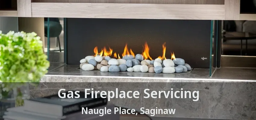 Gas Fireplace Servicing Naugle Place, Saginaw - TX Gas Fireplace Servicing Naugle Place, Saginaw - TX