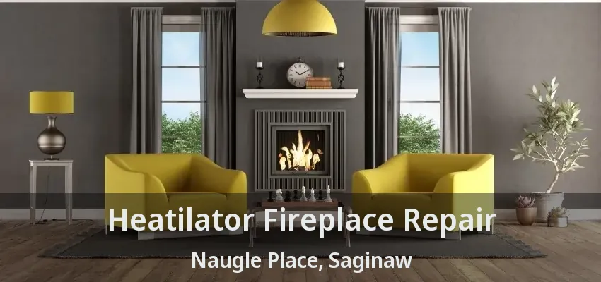 Heatilator Fireplace Repair Naugle Place, Saginaw - TX
